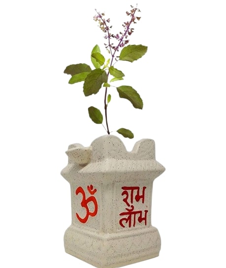 जय तुलसी माता